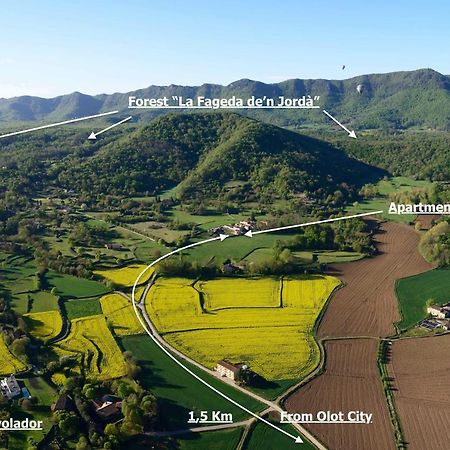 Apartamento "El Lila" - Parking Incluido Olot Eksteriør bilde