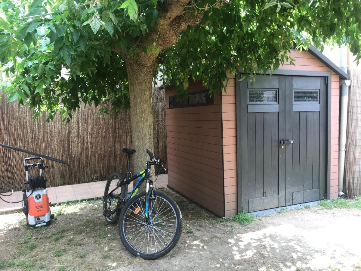 Apartamento "El Lila" - Parking Incluido Olot Eksteriør bilde